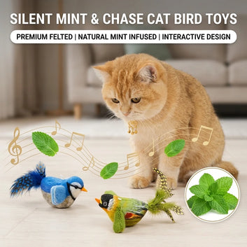 Interactive Catnip Bird Toy Set (3PCS) – Wall-Mounted Chirping Toys for Active Indoor Cats