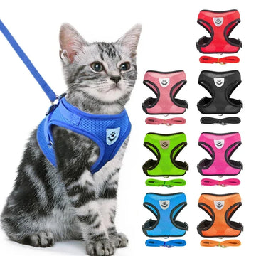 No-Pull Adjustable Pet Harness & Leash Set – Breathable Mesh Vest for Dogs & Cats