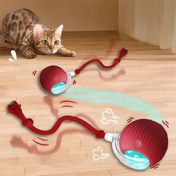 Interactive Automatic Cat Toy Ball – Self-Playing Feather Teaser for Indoor Cats