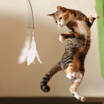 Retractable Cat Teaser Wand with Suction Cup & Replaceable Feather Head